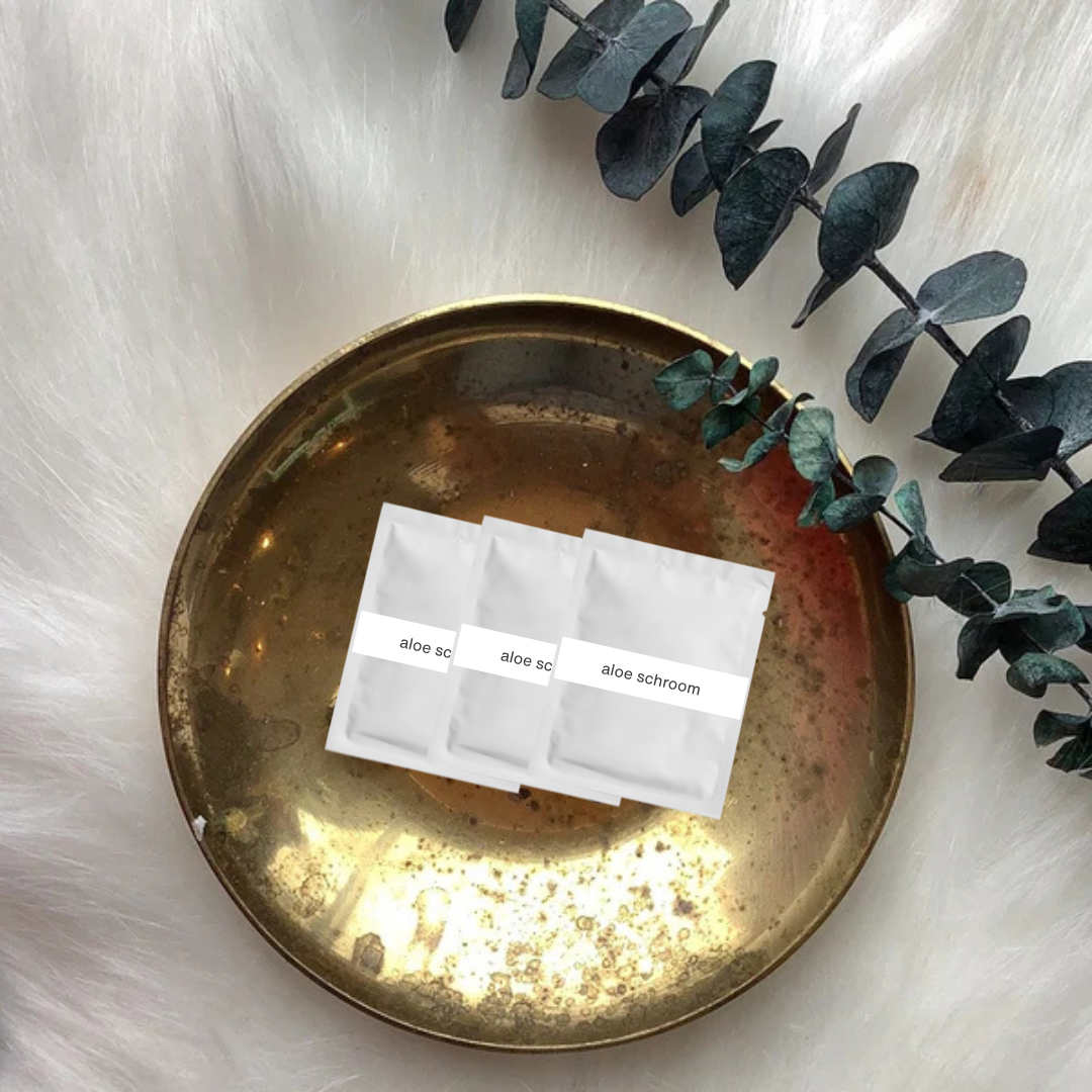 Hydration + Anti-aging: Aloe Schroom Hydrating Skin Concentrate