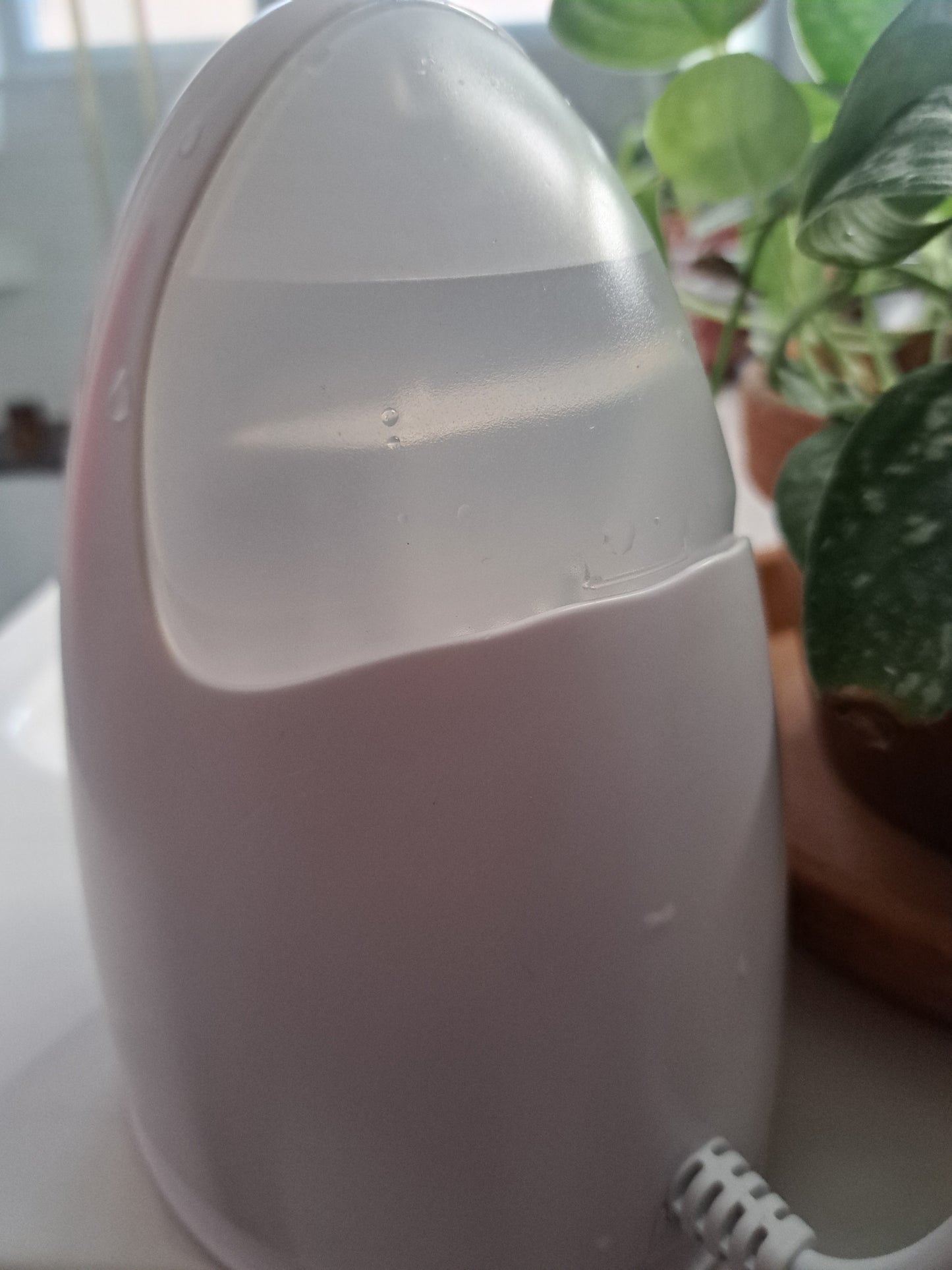 Lunah Life Facial Steamer — Deep Hydration, Detox & Glow