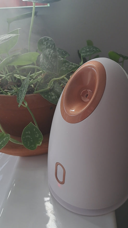 Lunah Life Facial Steamer — Deep Hydration, Detox & Glow