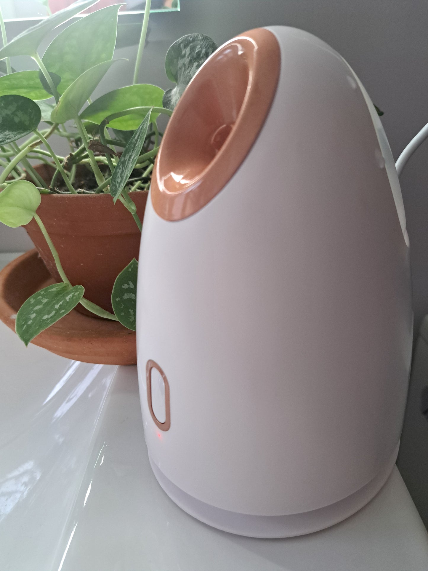 Lunah Life Facial Steamer — Deep Hydration, Detox & Glow